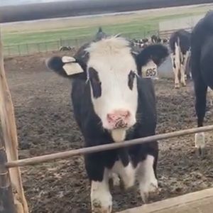 Meet your Posher, Chloe